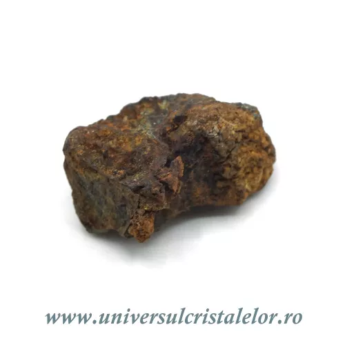 Meteorit Sericho Pallasite unicat m02