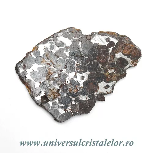 Meteorit Sericho Pallasite felie unicat m02 Meteorit Sericho Pallasite felie unicat m02