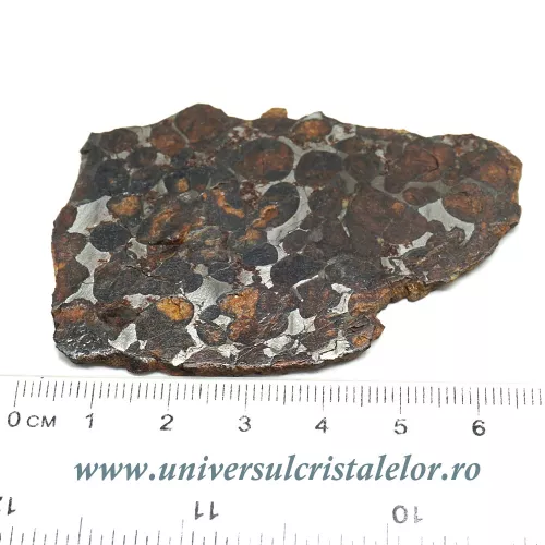 Meteorit Sericho Pallasite felie unicat m02 Meteorit Sericho Pallasite felie unicat m02