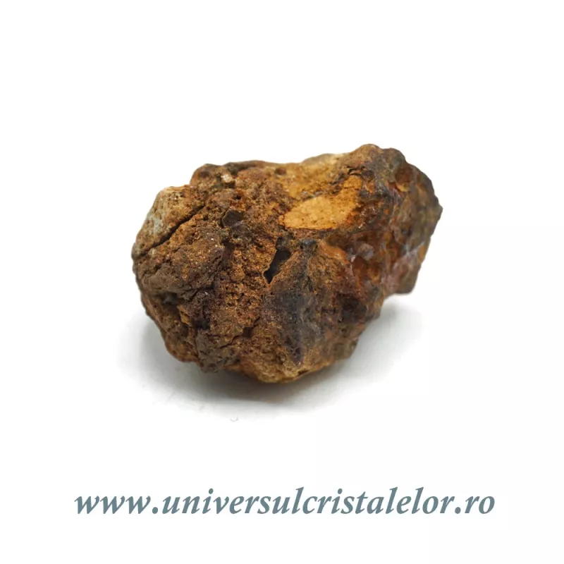 Meteorit Sericho Pallasite Meteorit Sericho Pallasite