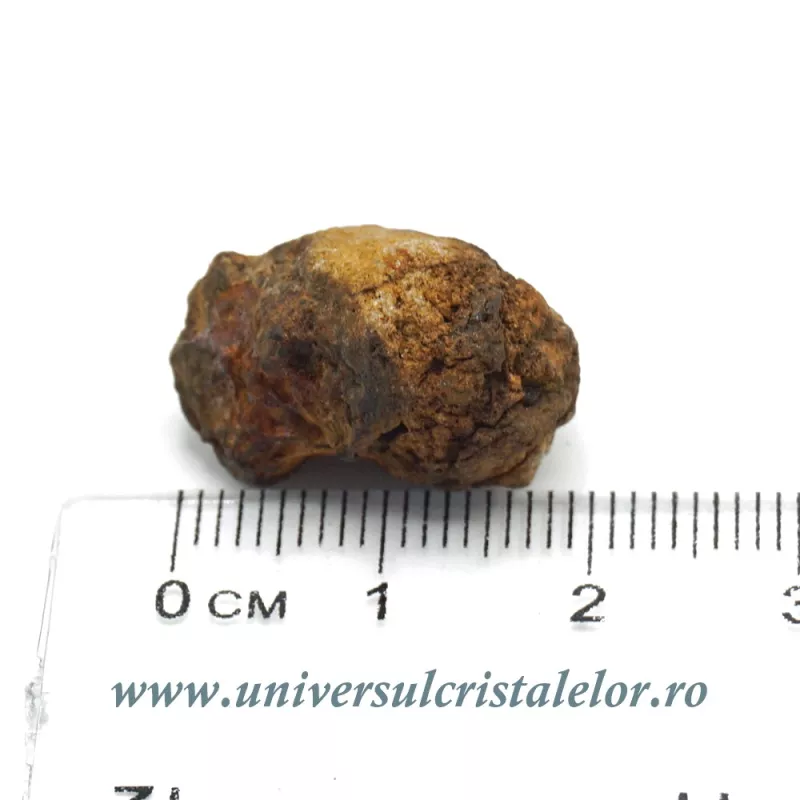 Meteorit Sericho Pallasite Meteorit Sericho Pallasite