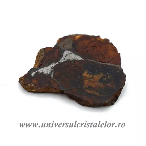 Meteorit Sericho Pallasite