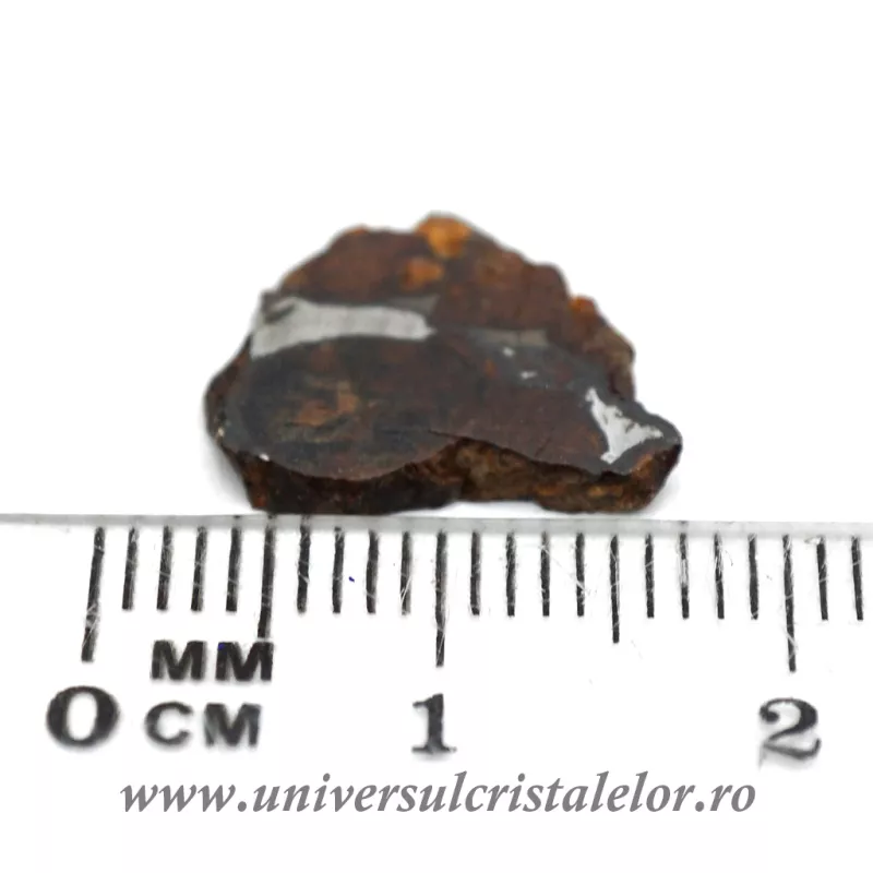 Meteorit Sericho Pallasite