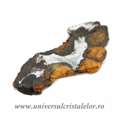 Meteorit Sericho Pallasite felie unicat m01