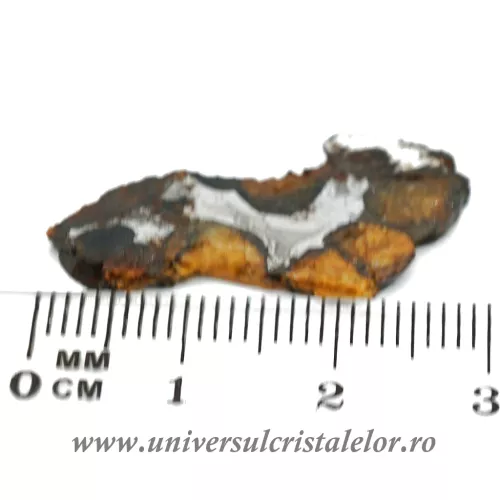 Meteorit Sericho Pallasite felie unicat m01