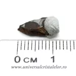 Meteorit Sericho Pallasite