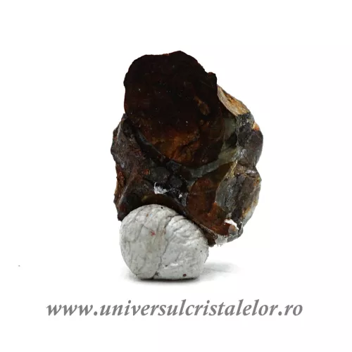 Meteorit Sericho Pallasite unicat m02