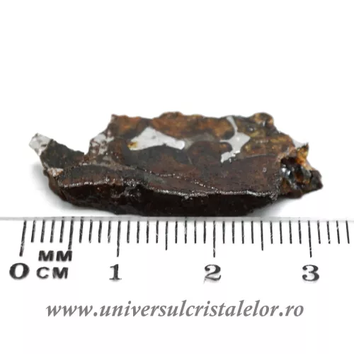 Meteorit Sericho Pallasite felie unicat m01