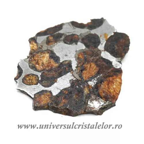 Meteorit Sericho Pallasite felie unicat m01