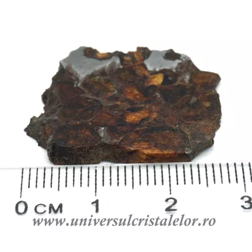 Meteorit Sericho Pallasite felie unicat m01