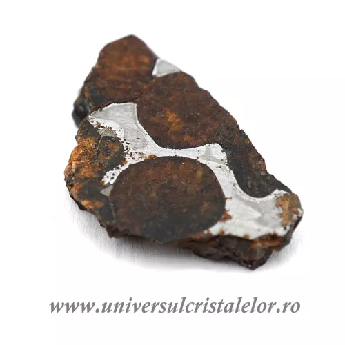 Meteorit Sericho Pallasite felie unicat m01