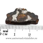 Meteorit Sericho Pallasite