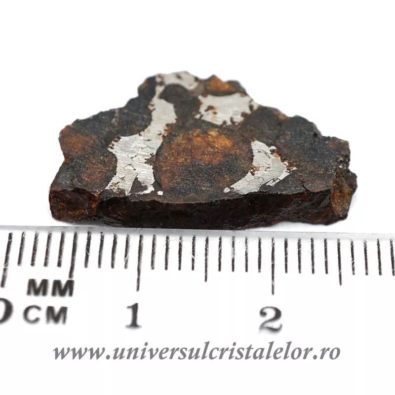 Meteorit Sericho Pallasite