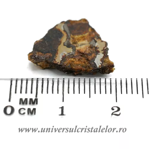 Meteorit Sericho Pallasite