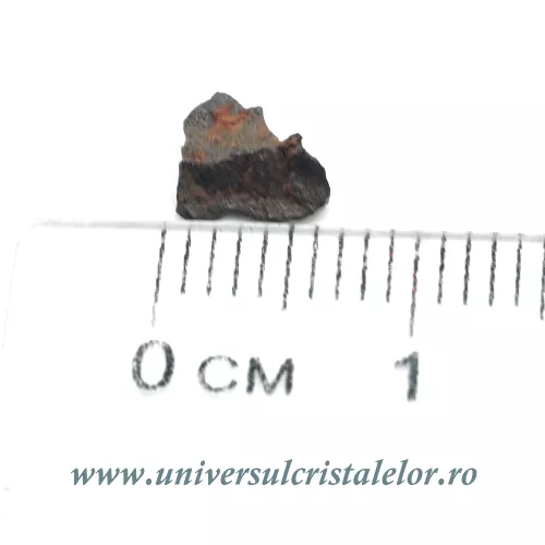 Meteorit Sericho Pallasite Meteorit Sericho Pallasite