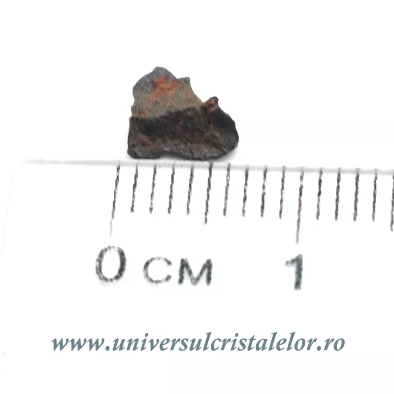 Meteorit Sericho Pallasite Meteorit Sericho Pallasite