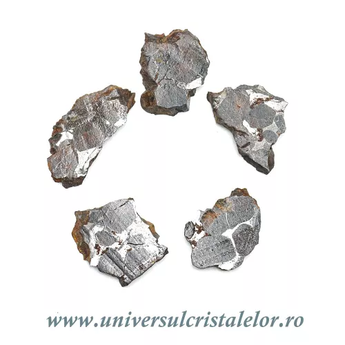 Meteorit Sericho Pallasite