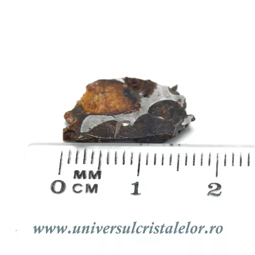Meteorit Sericho Pallasite