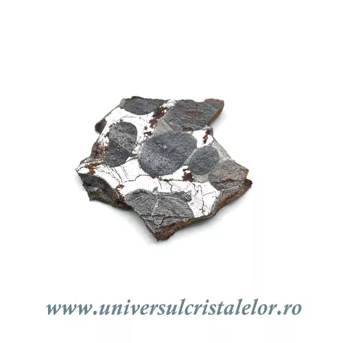 Meteorit Sericho Pallasite