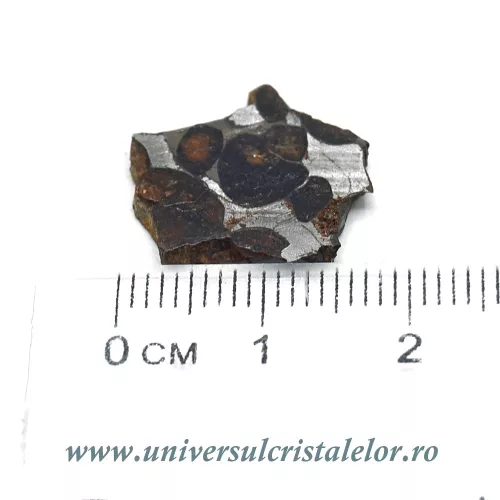 Meteorit Sericho Pallasite
