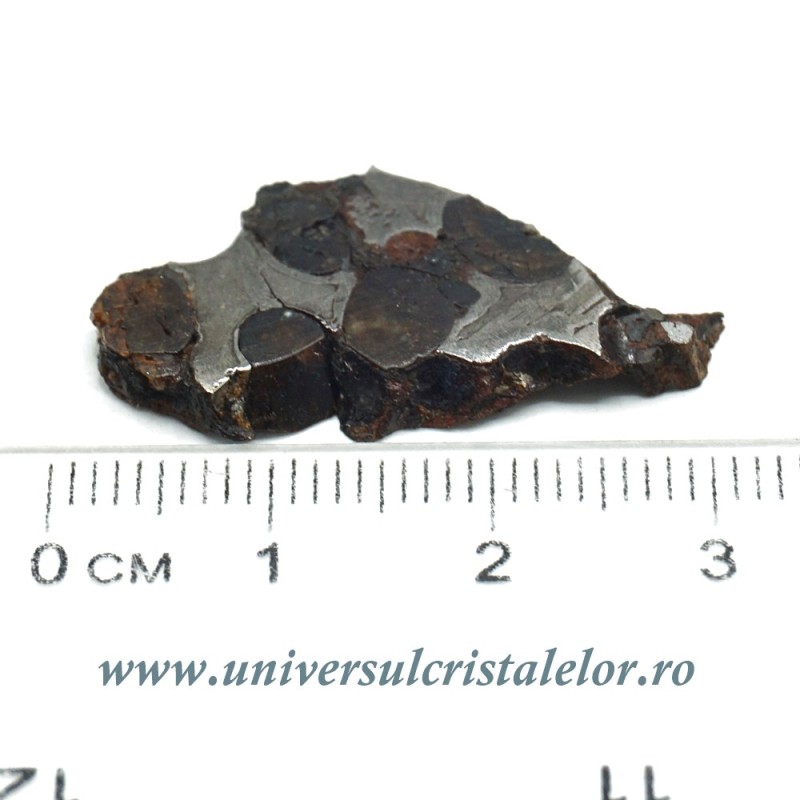 Meteorit Sericho Pallasite