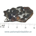 Meteorit Sericho Pallasite