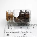 Sticluta Meteorit Condrit