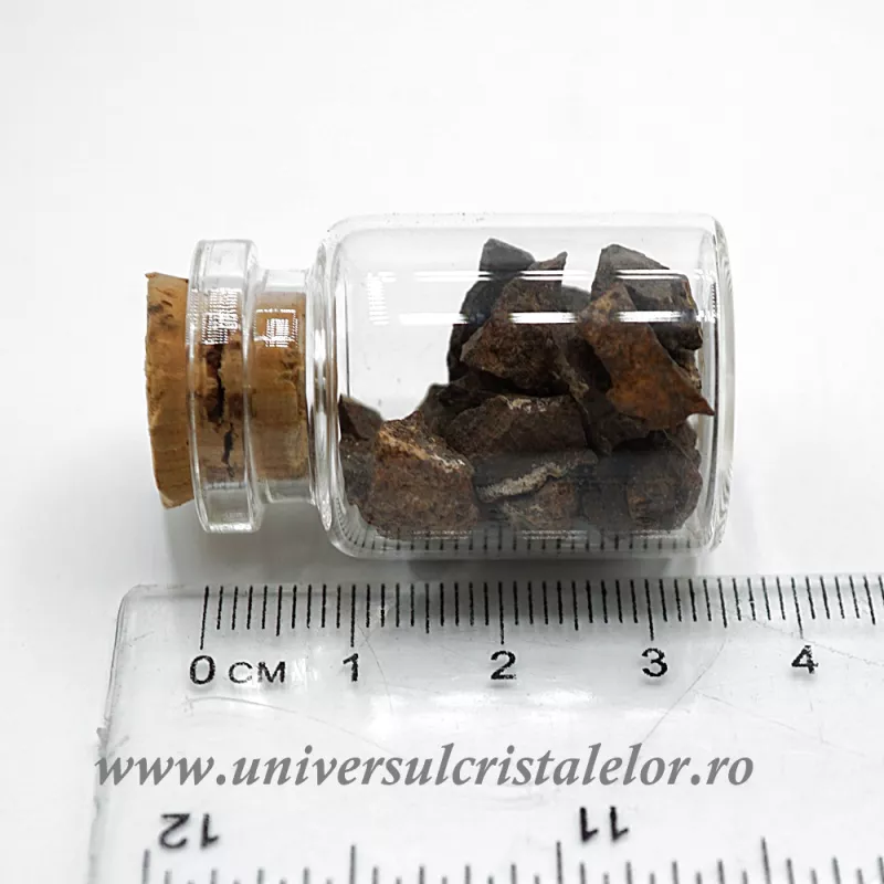 Sticluta Meteorit Condrit