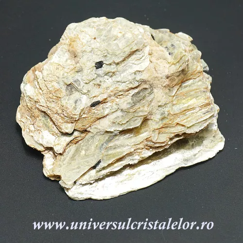 Muscovit  Muscovit