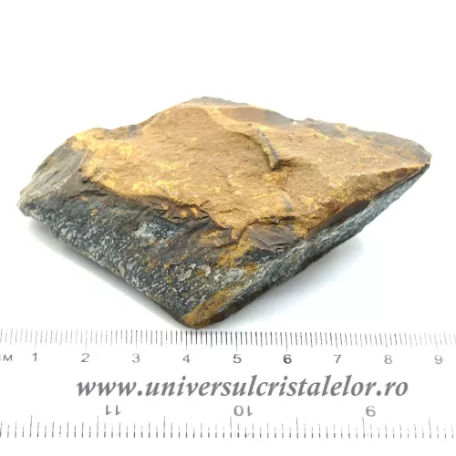 Ochi de soim Ochi de soim