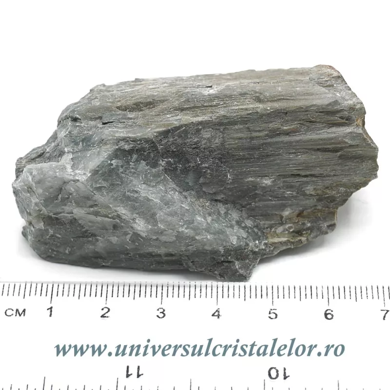 Ochi de pisica Ochi de pisica