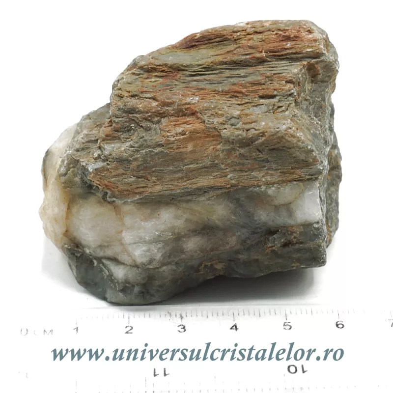 Ochi de pisica Ochi de pisica