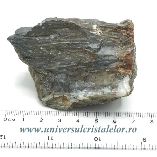 Ochi de pisica Ochi de pisica