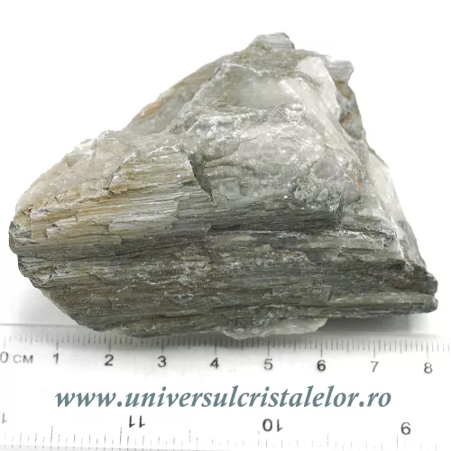 Ochi de pisica Ochi de pisica