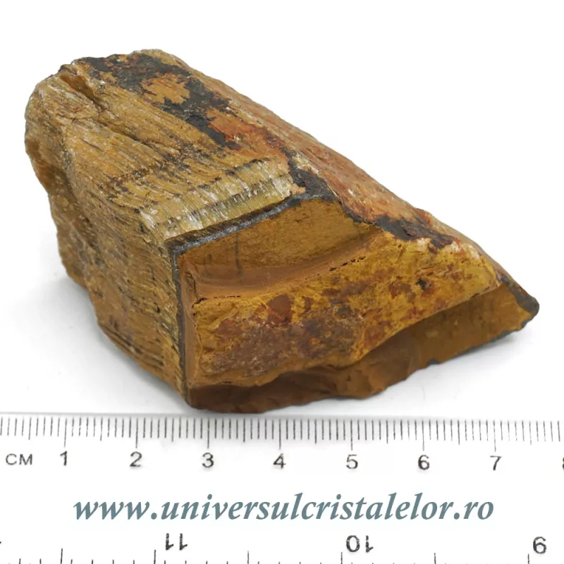 Ochi de tigru Ochi de tigru