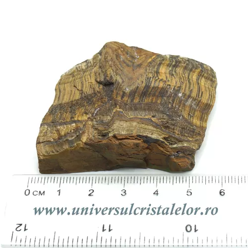Ochi de tigru Ochi de tigru