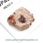 Opal Opal