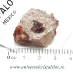 Opal Opal