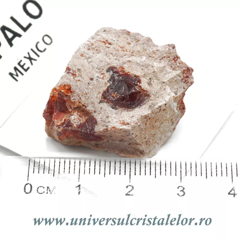 Opal Opal