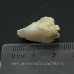 Opal de foc Opal de foc