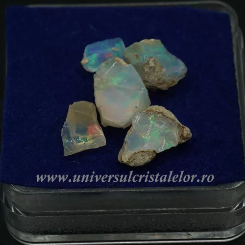 Opal nobil Etiopia cutie m06 Opal nobil Etiopia cutie m06