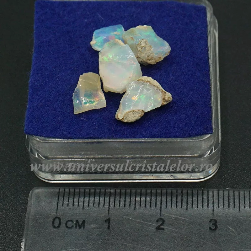 Opal de foc Opal de foc