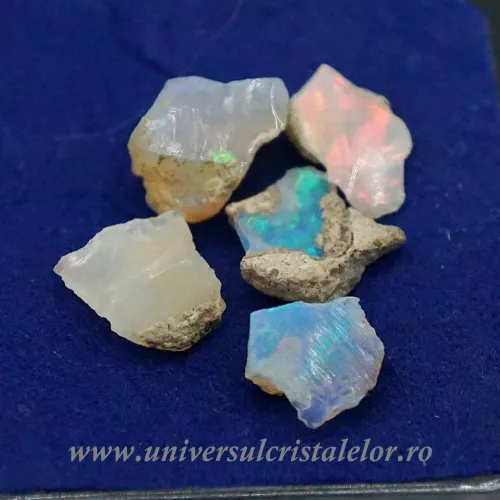 Opal nobil Etiopia cutie m04