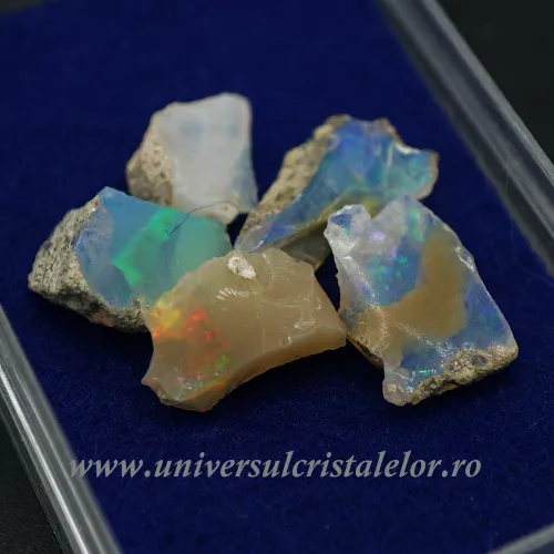 Opal nobil Etiopia cutie m05
