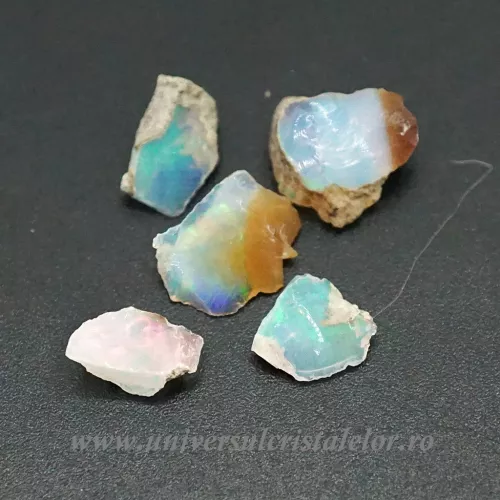 Opal nobil Etiopia cutie m05