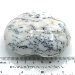 Inima agat dendritic