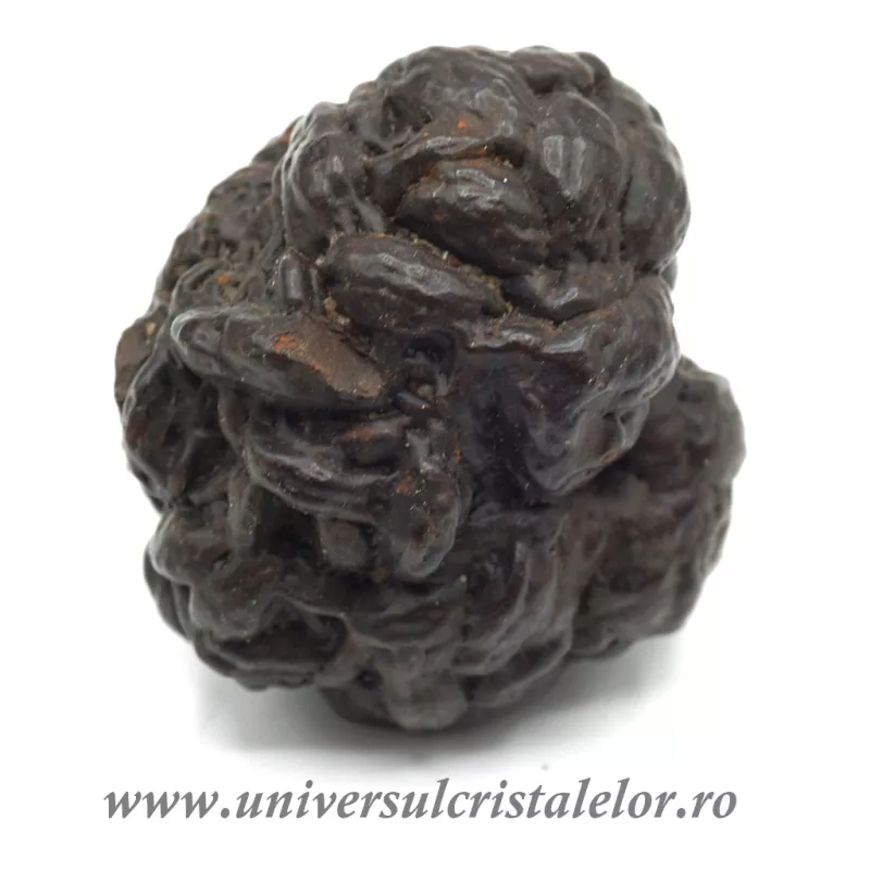 Piatra Profetiei (Piatra profetului) Piatra Profetiei (Piatra profetului)