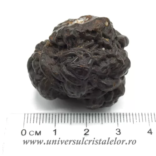 Piatra Profetiei (Piatra profetului) Piatra Profetiei (Piatra profetului)