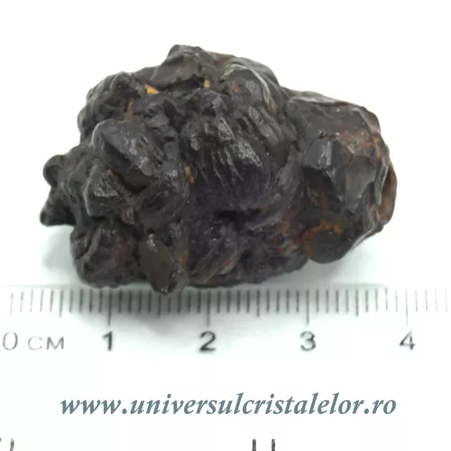 Piatra Profetiei (Piatra profetului) Piatra Profetiei (Piatra profetului)