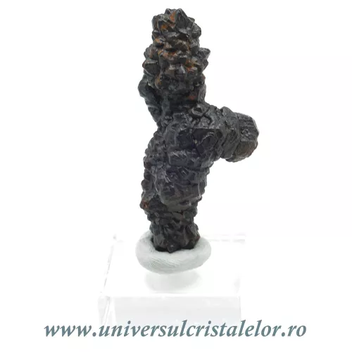 Piatra Profetiei (Piatra profetului) Piatra Profetiei (Piatra profetului)